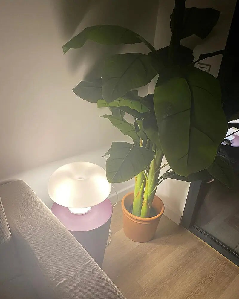 AuraShroom Minimalist Lamp